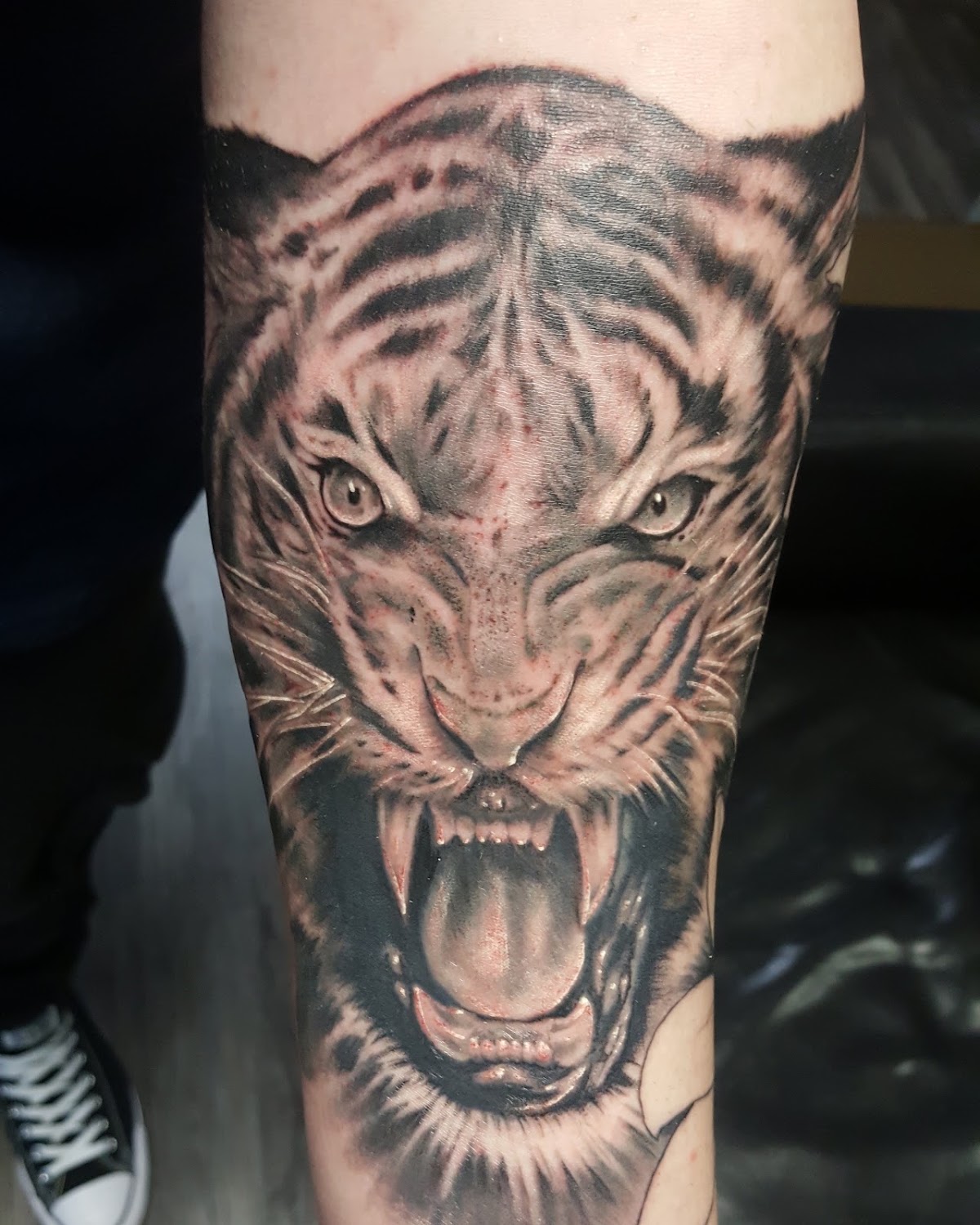 Stunning black and grey realistic tiger tattoo on forearm